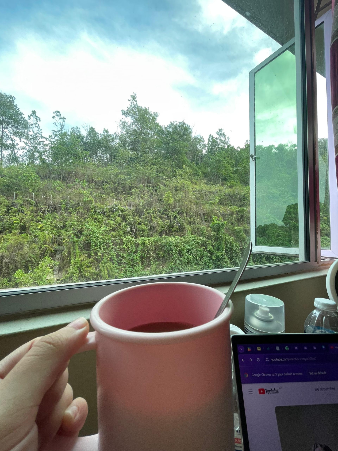 A cup of tea by the window, 2024. Photo: Anzellyssa