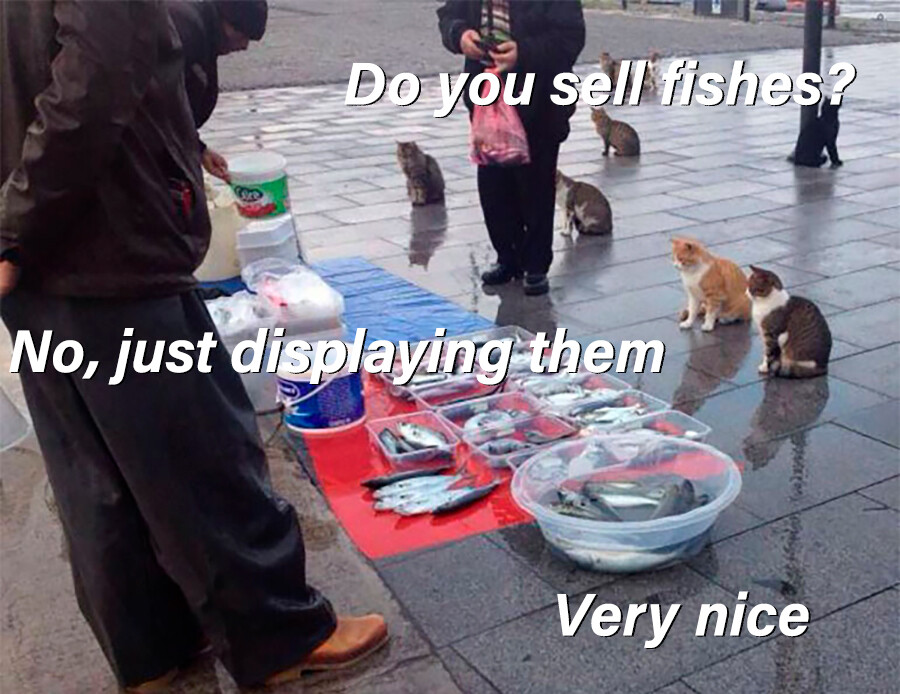 "Do You Sell Fish?" (The Language Pun)