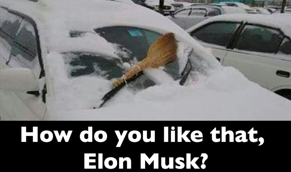 "How Do You Like That, Elon Musk?"