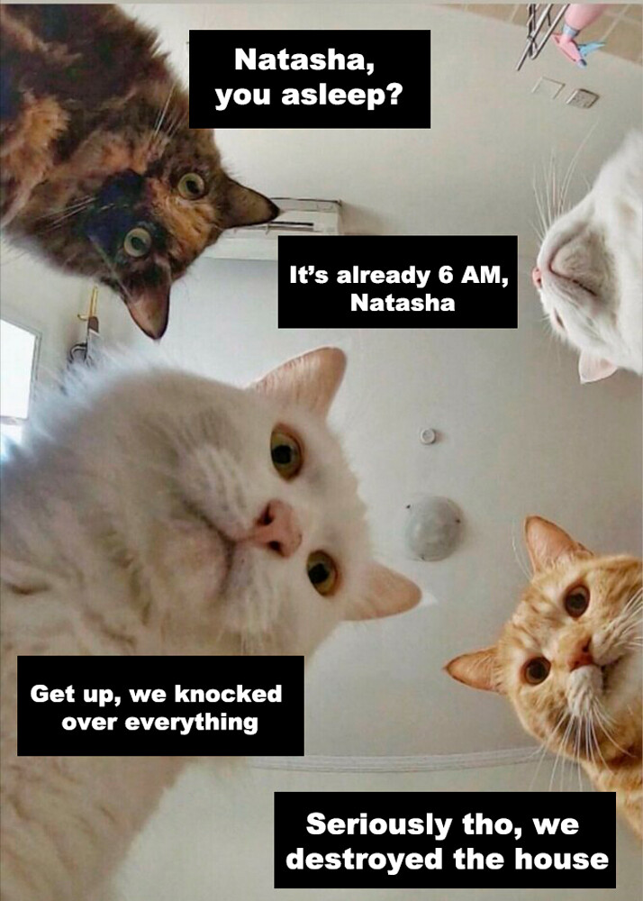 "Natasha, Get Up!" (The Cats)